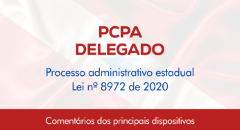 PCPA (Delegado): Processo Administrativo Estadual – Lei nº 8972 de 2020